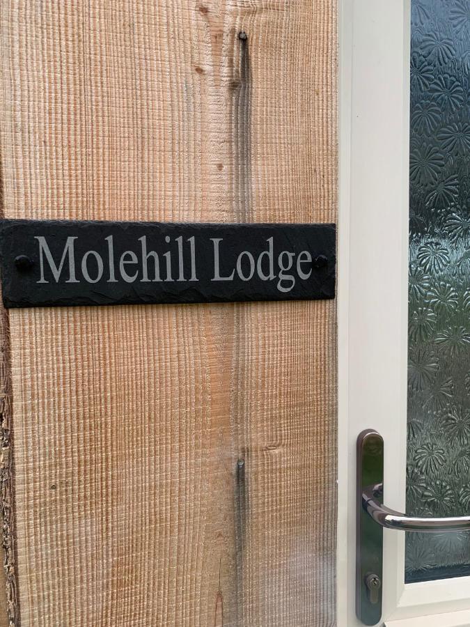 סוואנסי Molehill Lodge מראה חיצוני תמונה