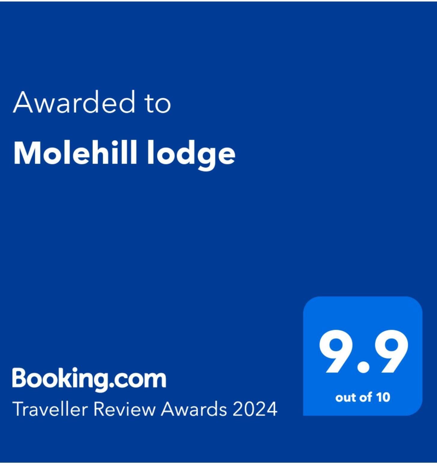 סוואנסי Molehill Lodge מראה חיצוני תמונה