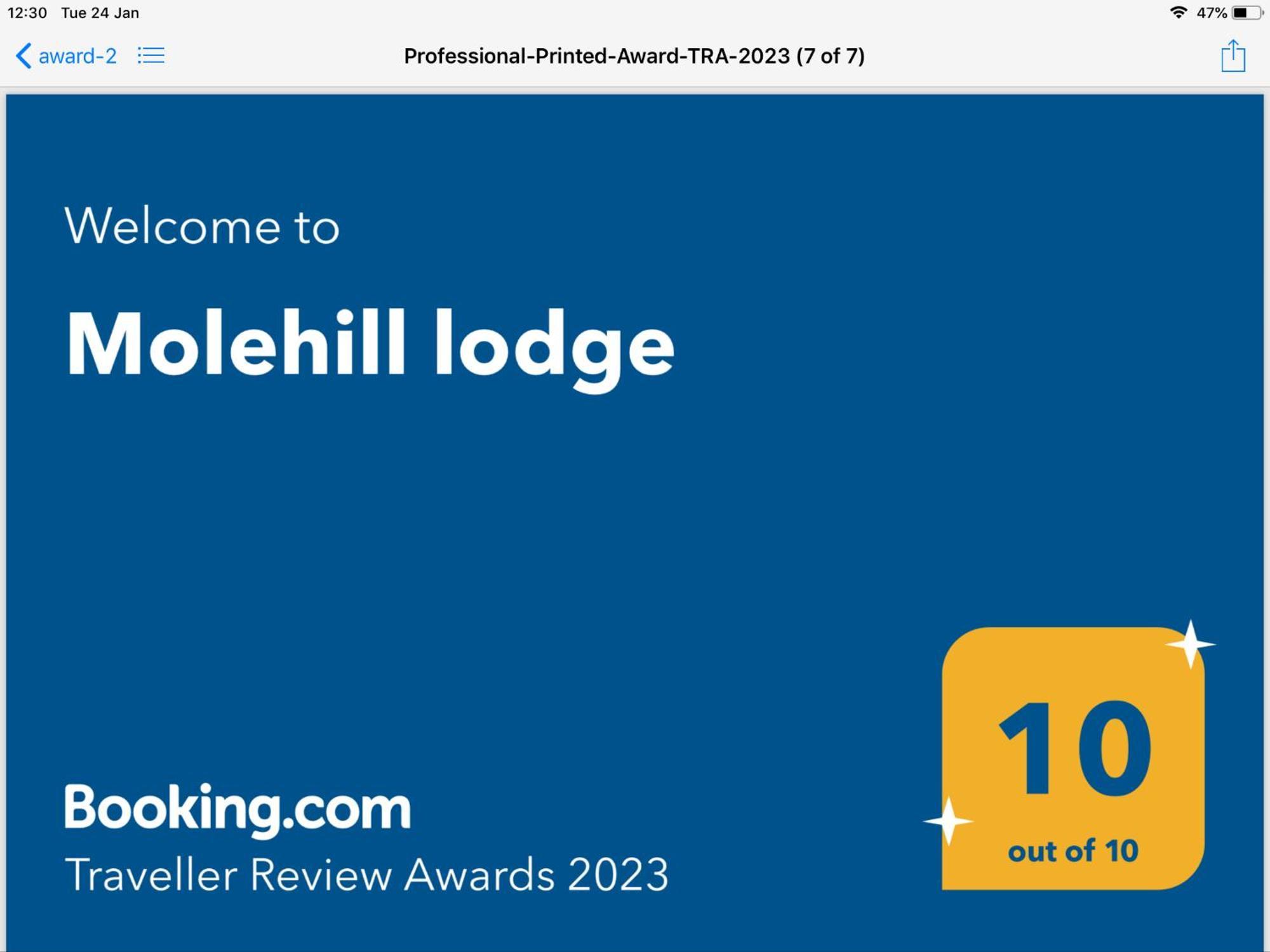 סוואנסי Molehill Lodge מראה חיצוני תמונה